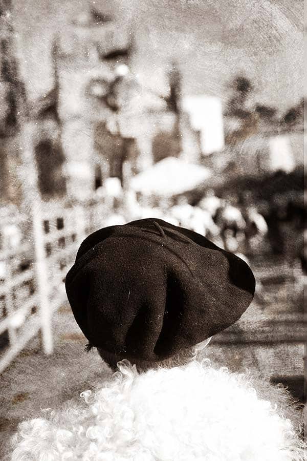 Photographe professionnel Bazas Langon Marmande - Stephanie Larriaut - image-3