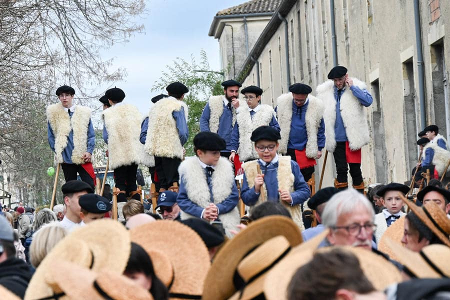 Reportage photo Bazas Langon Marmande - Larriaut Photos - Galerie Boeufs gras 2