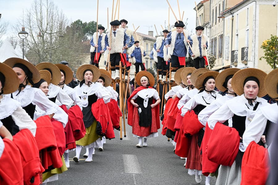 Reportage photo Bazas Langon Marmande - Larriaut Photos - Galerie Boeufs gras 3