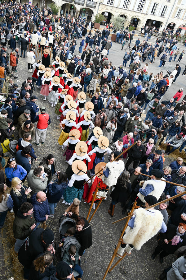 Reportage photo Bazas Langon Marmande - Larriaut Photos - Galerie Boeufs gras 7