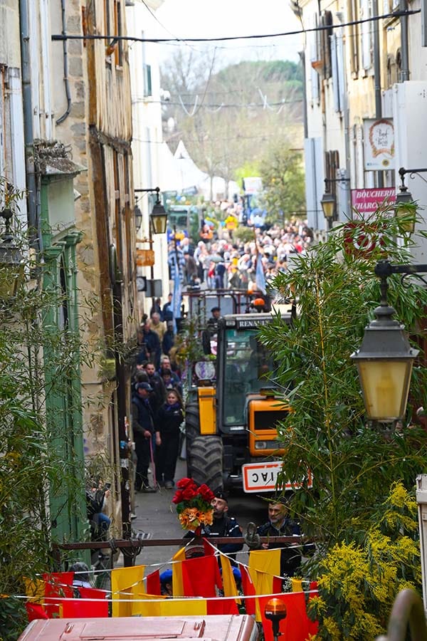 Reportage photo Bazas Langon Marmande - Larriaut Photos - image 1